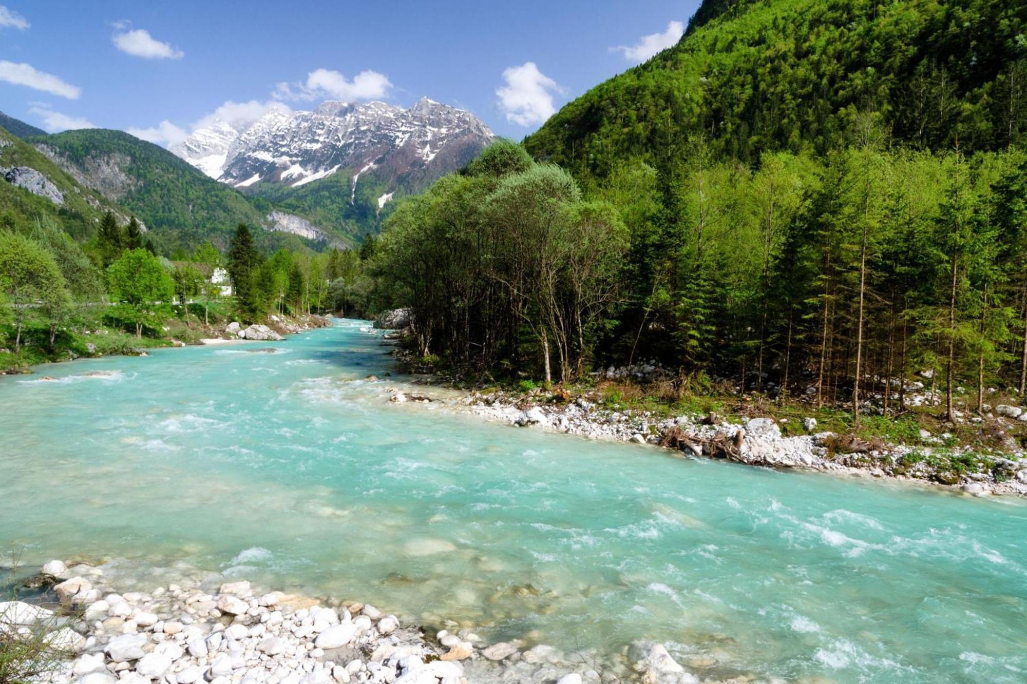 House By The Stream - Happy Rentals Avce Exteriör bild