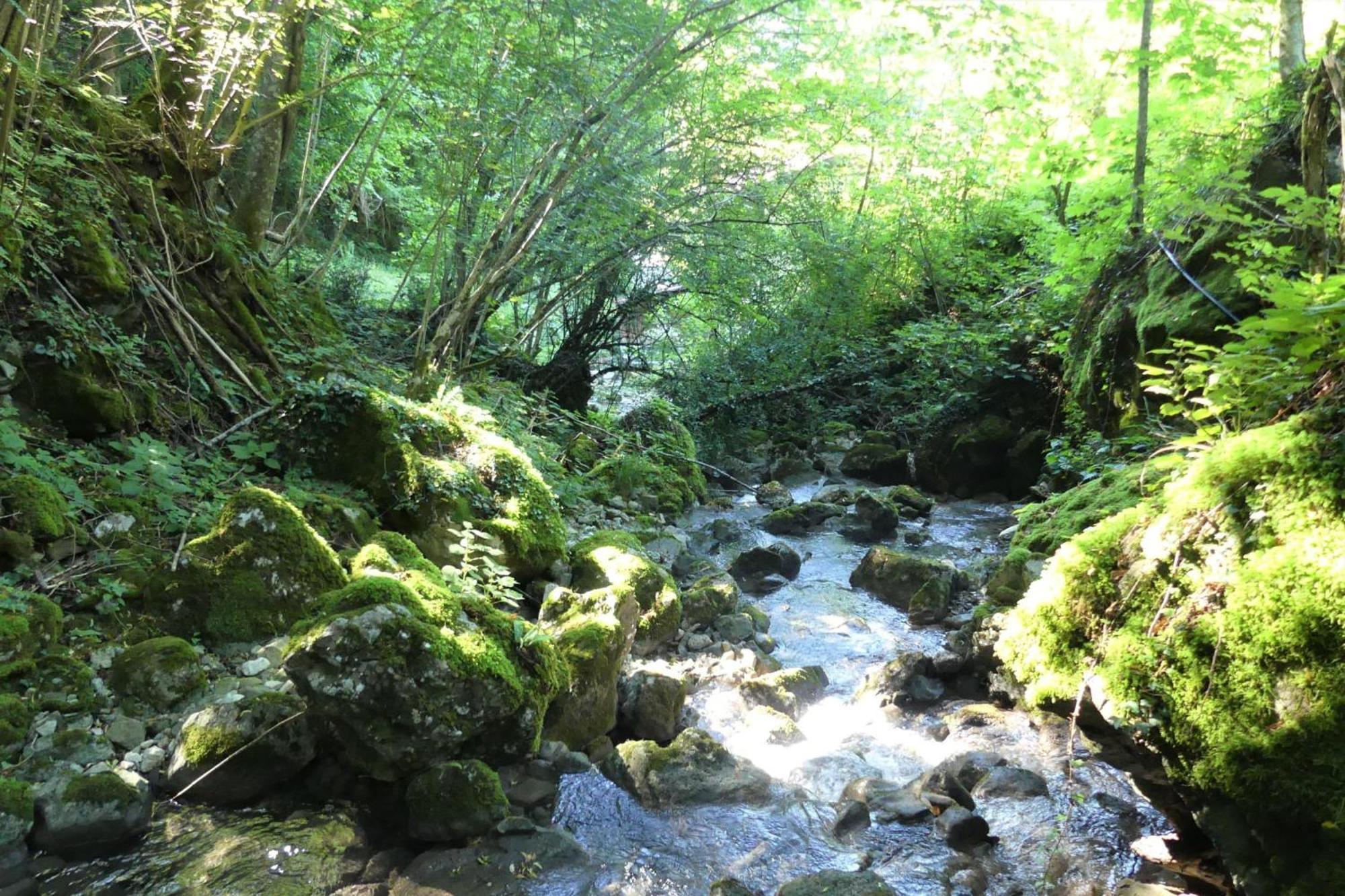 House By The Stream - Happy Rentals Avce Exteriör bild